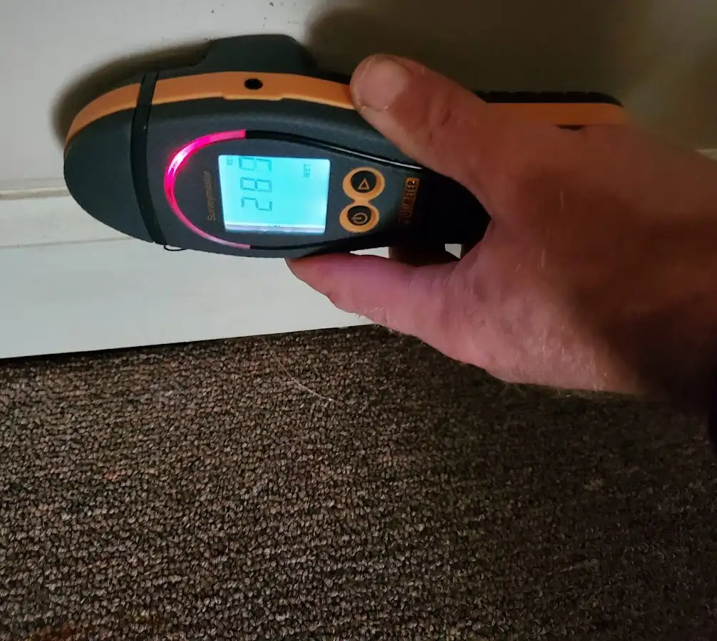 Moisture detection at baseboard during Sewage Cleanup & Sanitation in Bloomington